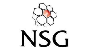 Nsg environmental