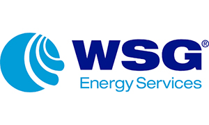 Wsg Energy Services