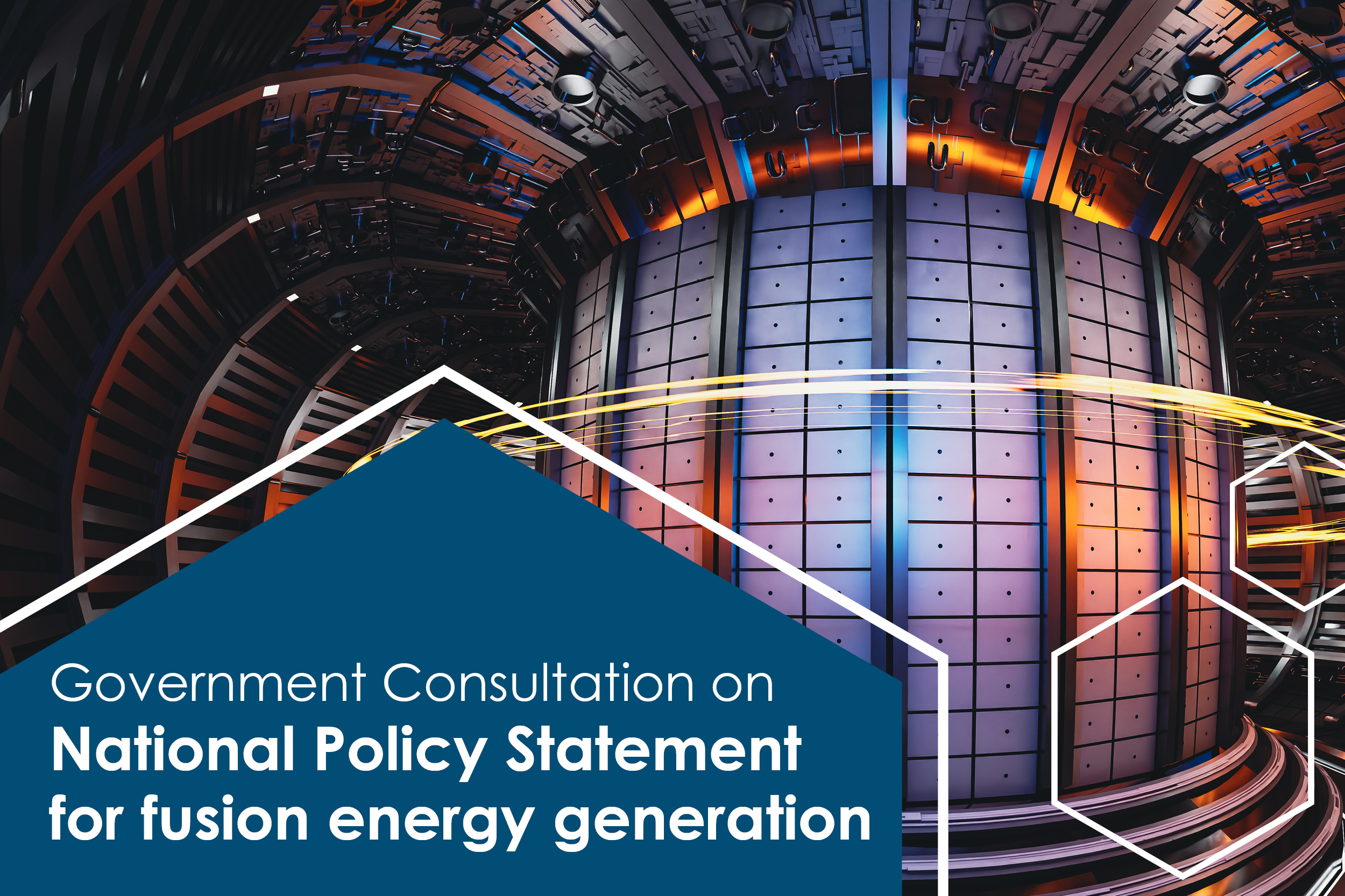 Fusion Energy Consultation
